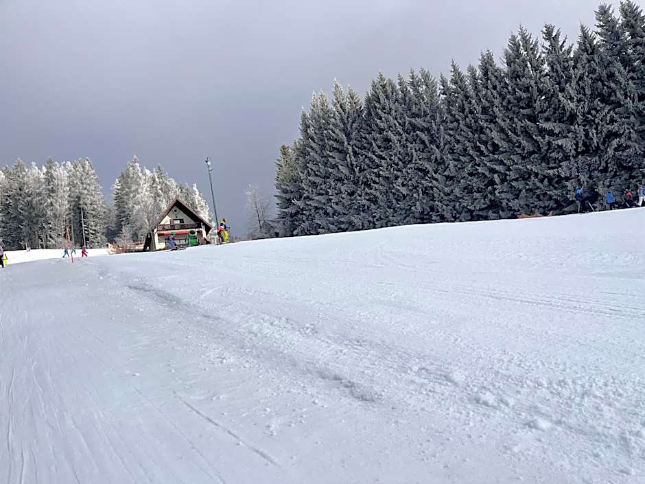 Seegasthof Breineder - Familien & Seminarhotel