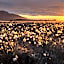 Astra Village - Waterfront Rorbu Cabins in Lofoten
