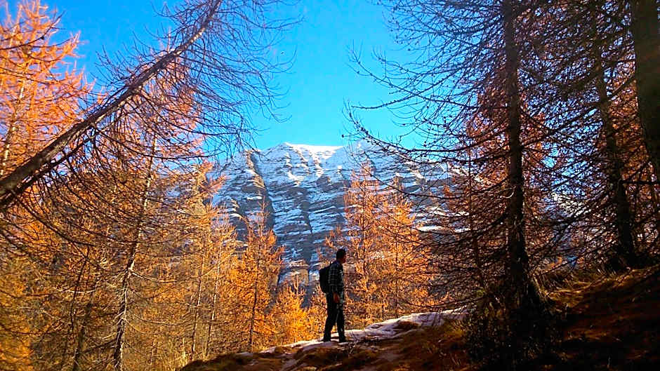 Hôtel Restaurant Gîtes Les 5 Saisons