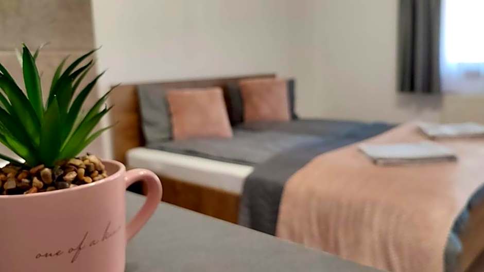 Kodaros Studio Parajd