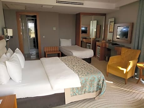 Deluxe Standard Room