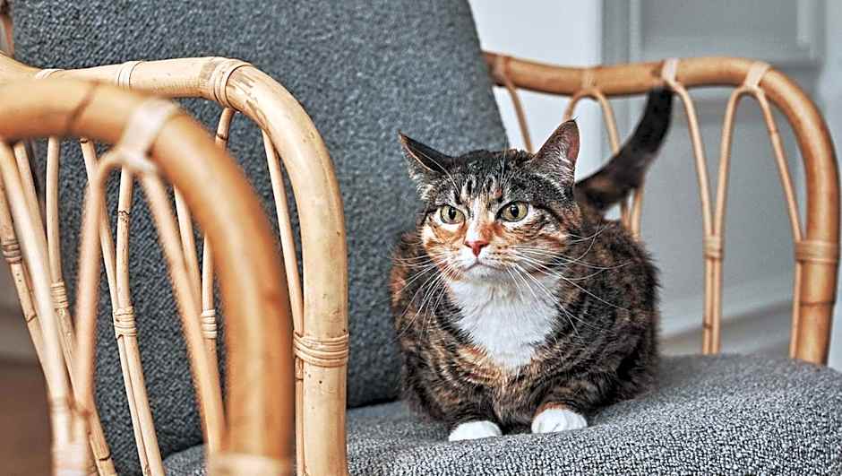 The Kimpton Brice Hotel By IHG