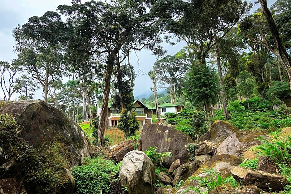 Neelakurunji Plantation Munnar