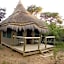 Wildside Safari Camp