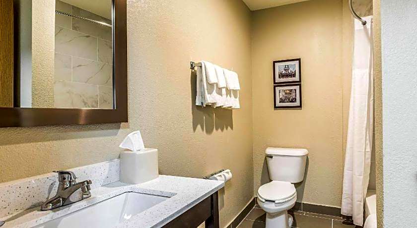 Comfort Inn Downtown
