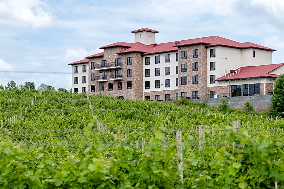 Holiday Inn Express Hotel & Suites Lexington NW-The Vineyard