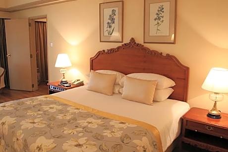 Luxury One Bed Room Suite Ocean View King Bed