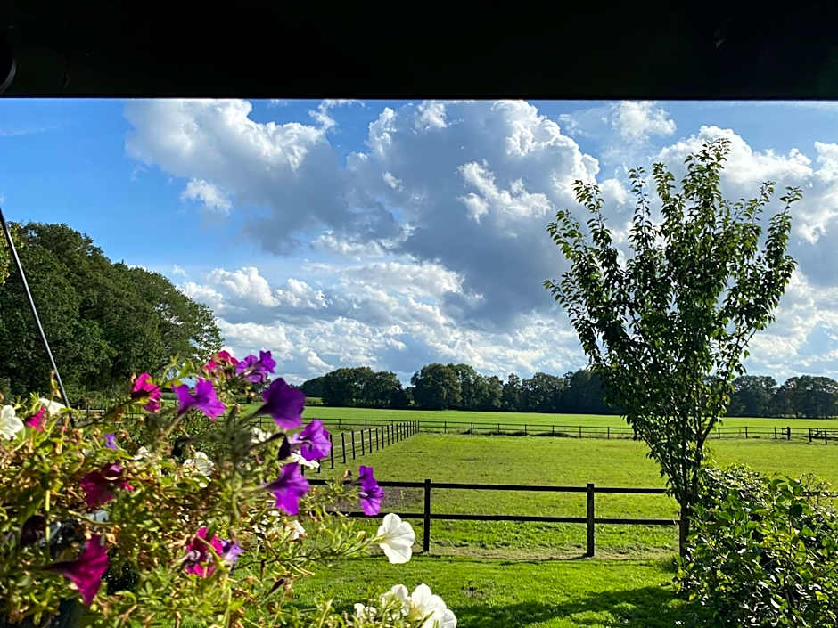 Erve Het Roolvink Boerderij Appartementen 40-50 M2