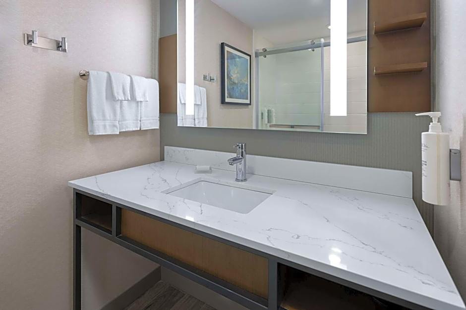 Hilton Garden Inn Winston-Salem/Hanes Mall