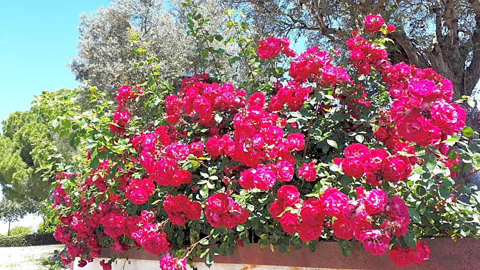 Monte da Floresta B&B