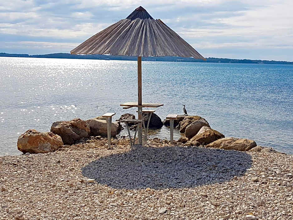 Mobile Homes Camp Pineta - Adriatic Kampovi