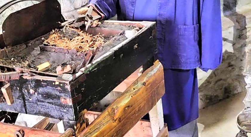 AU SOMMET DES NARCISSES