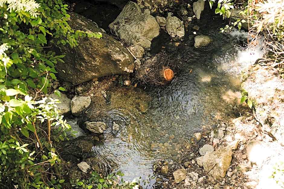 Treehouse de Valentine