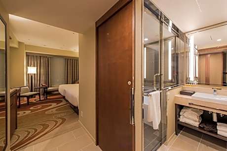 Club Deluxe Twin Room with Lounge  Access
