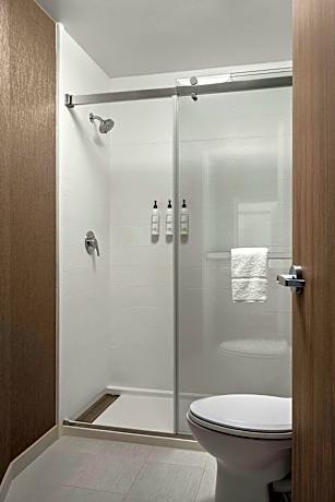 Suite, 1 King Bed with Sofa bed (1 King Bed and 1 Double Sofa Bed)
