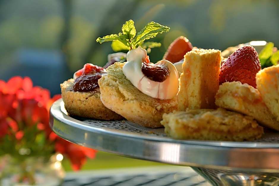 Montusi Mountain Lodge