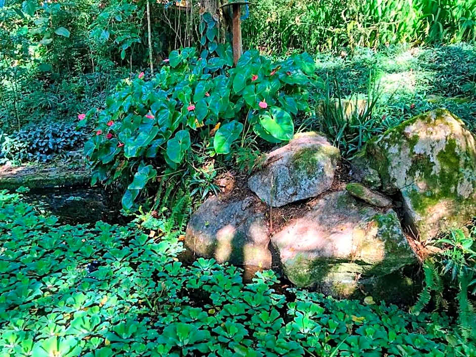 Loft Aconchegante em Meio à Natureza