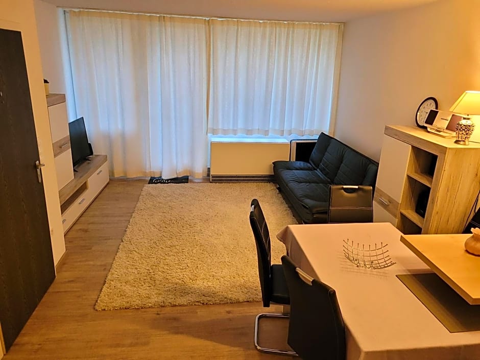 Ryan Apartament mit Netflix