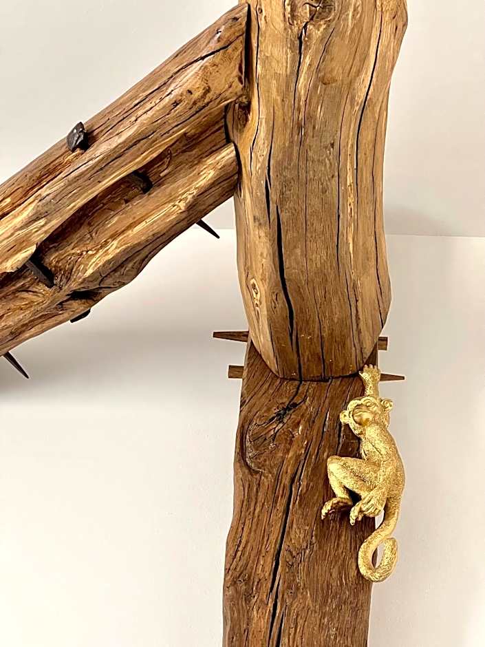 Tamarin & Capucin Suite Balnéo