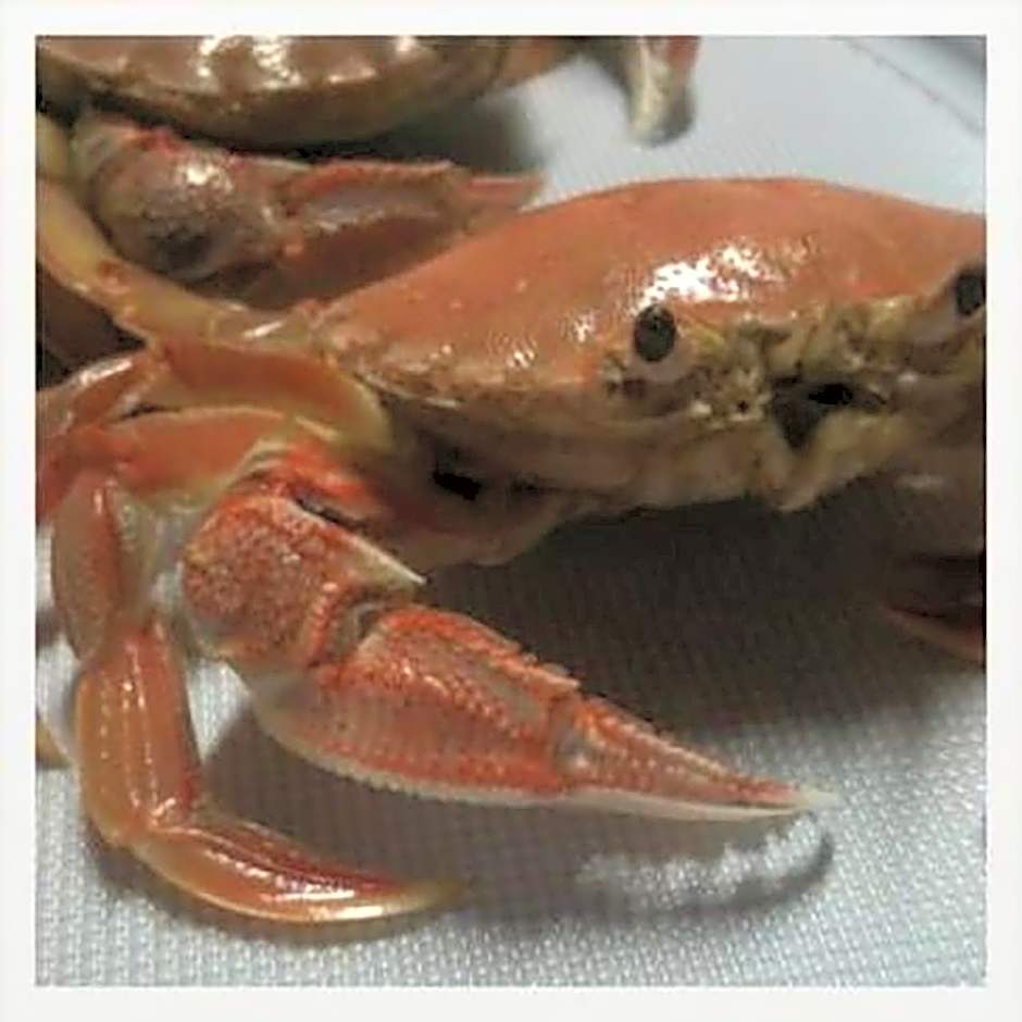 Paradise on The Boulevard - 90 Mile Beach Holiday Home