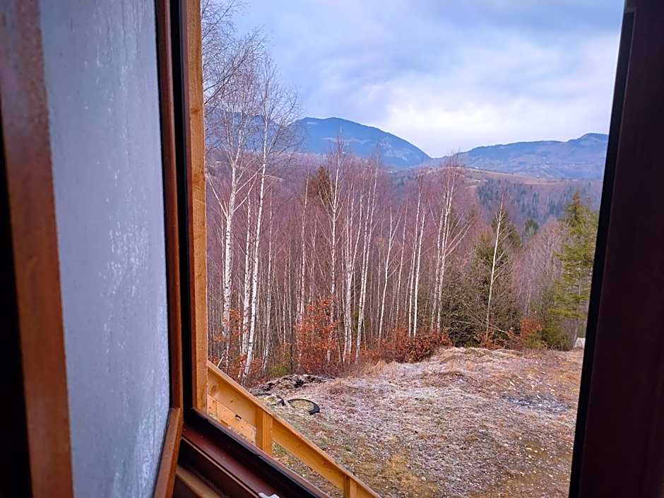 Cabana doi mesteceni