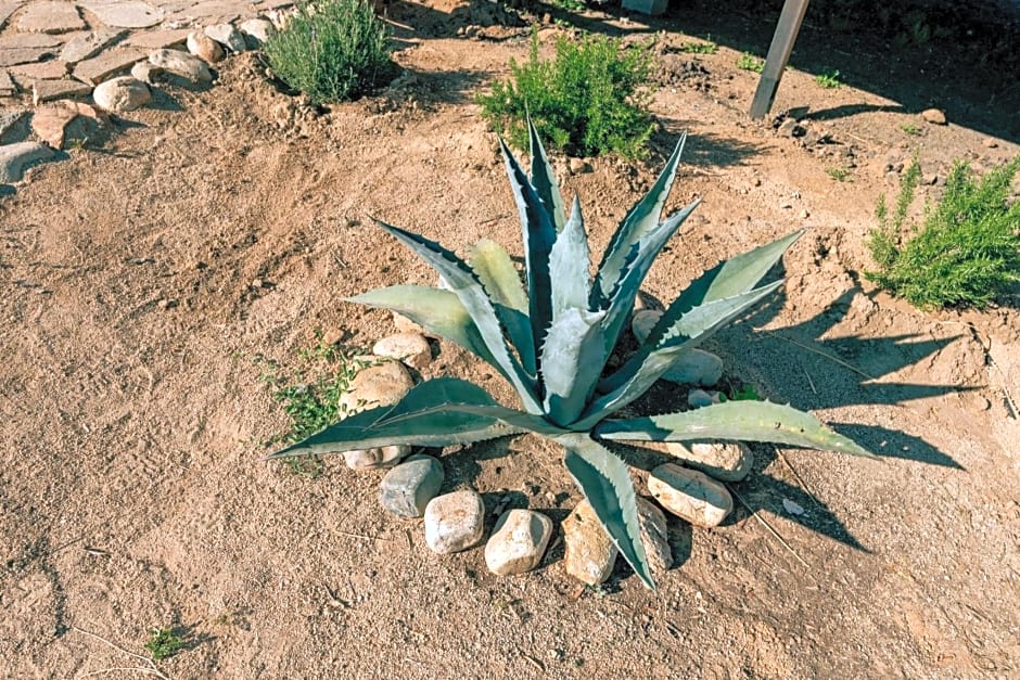 Villas Quijote Valle de Guadalupe