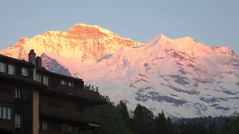 Alpenkräuter Hotel Bären