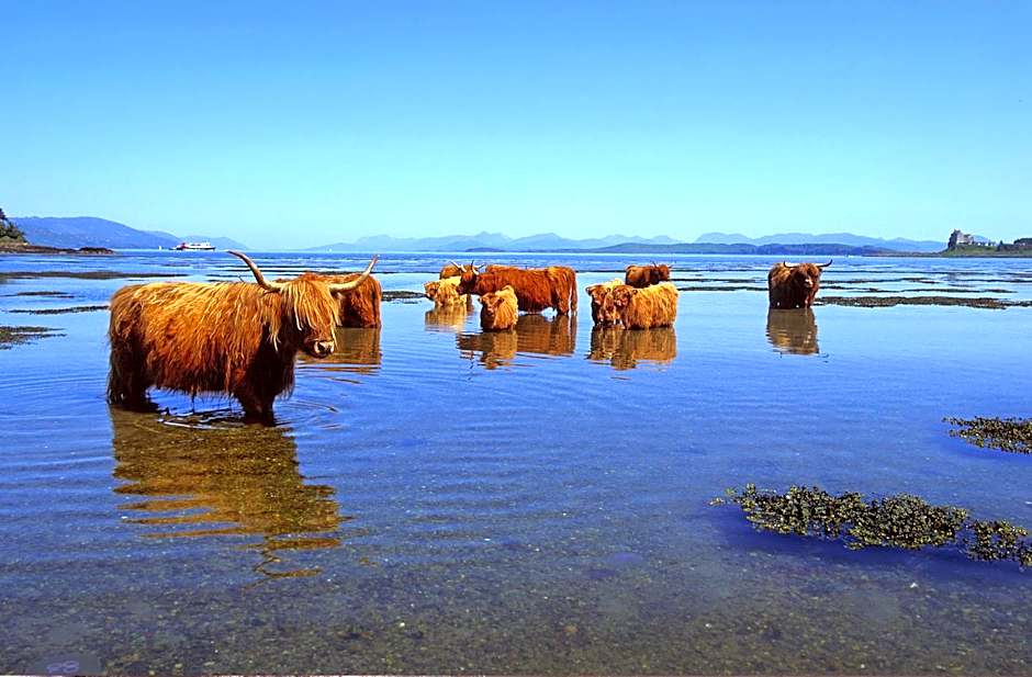 Appin Holiday Homes - Lodges, Shepherds Hut and Train Carriage stays