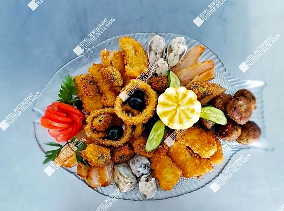 Hotel Restaurant Plutitor Delta Ways