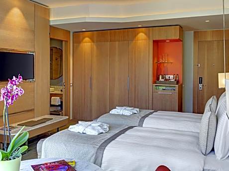 Standard Twin Room with Park View