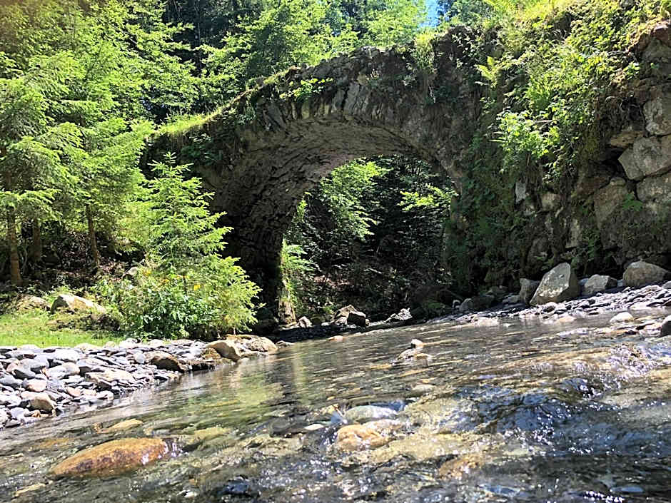 Le Moulin des Olirics