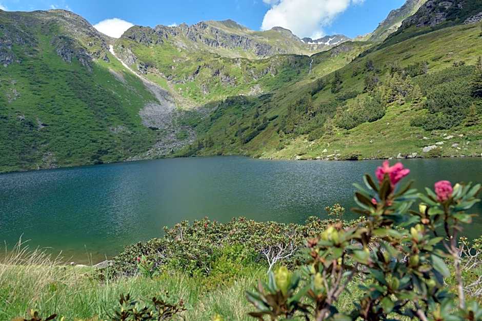 Gasthof Hirschenwirt