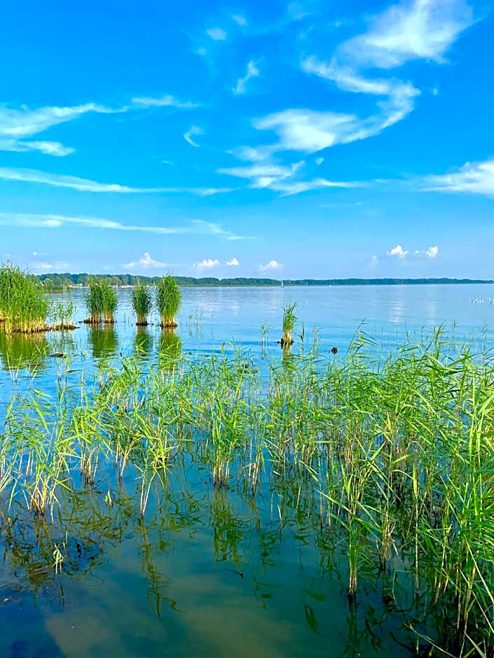 Navigator Hotel i Konferencje