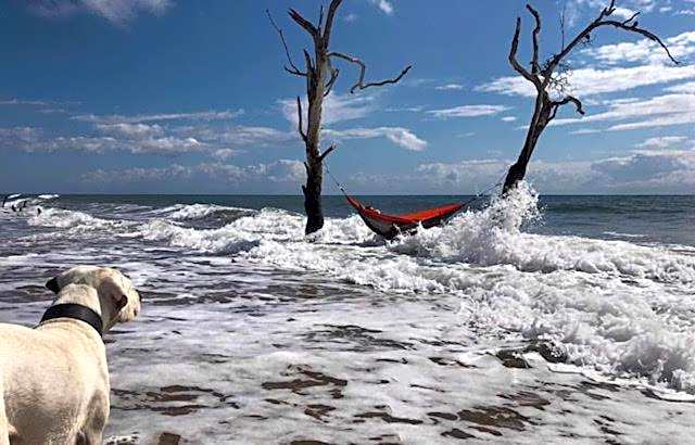 Gladstone Backpackers