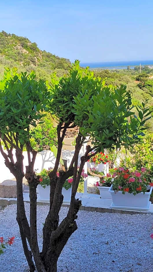 casa l'Ulivariu affittacamere