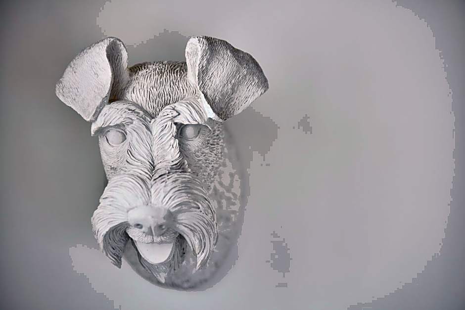 Can Savella - Turismo de Interior