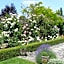 Marchmont Gardens
