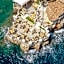 Monte-Carlo Beach