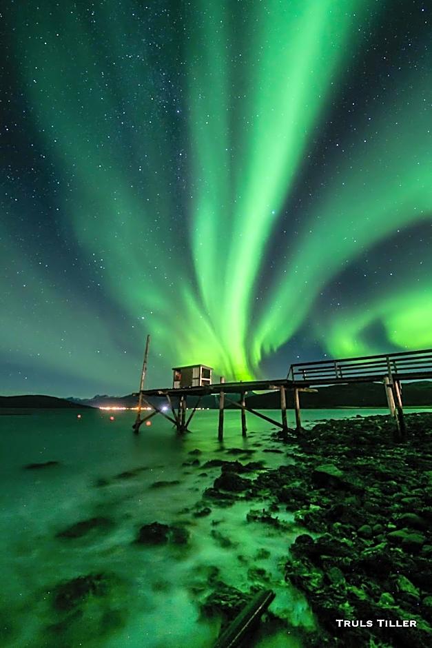 Buvik Sea Lodge Apartments