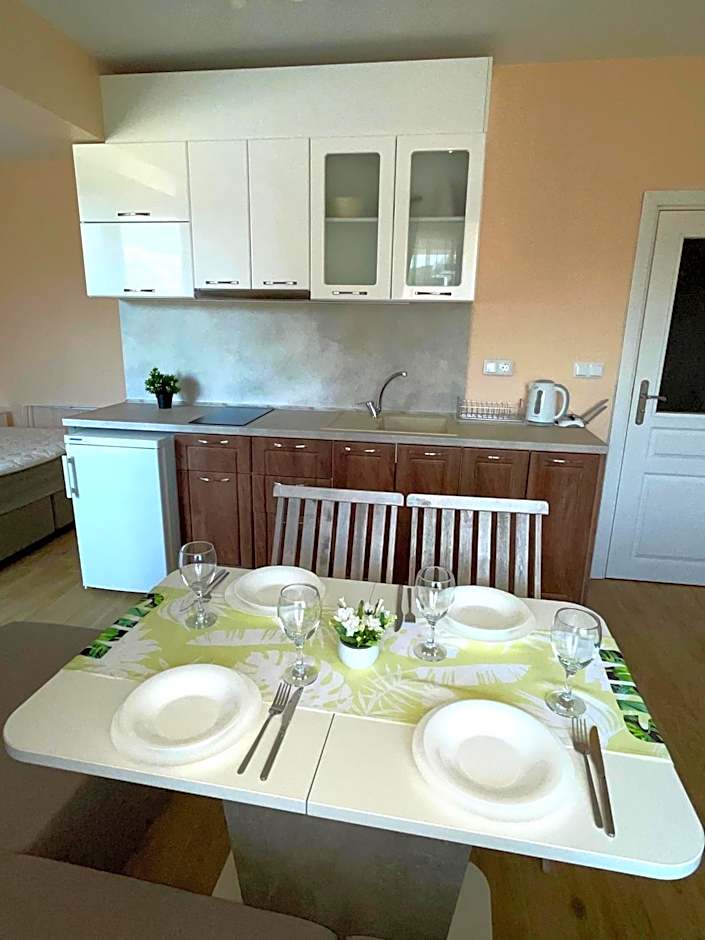 Palms Studio in Sozopol, with free parking