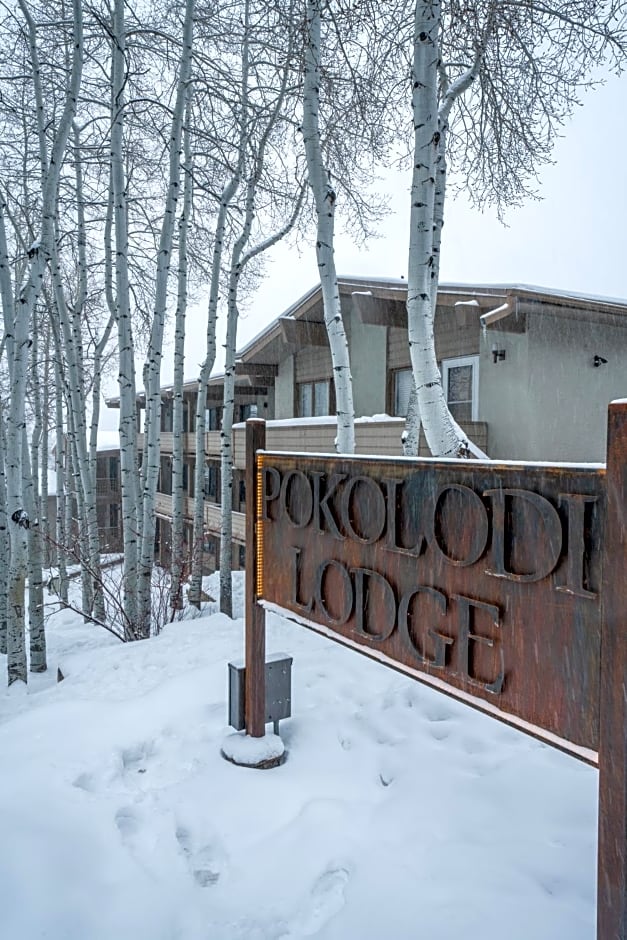 Pokolodi Lodge