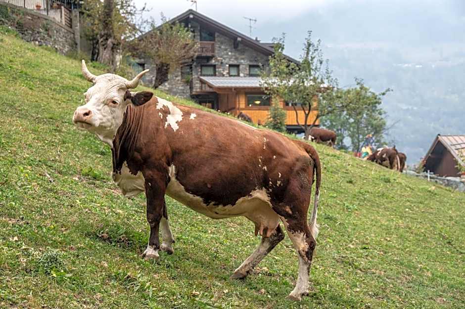 Agriturismo La Clochette