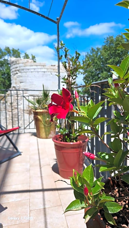 Brit Hotel Acacias
