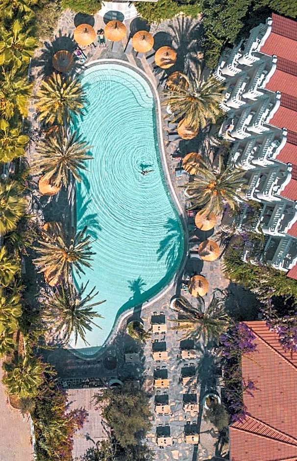 Flamingo Hotel & Spa - Pet Friendly