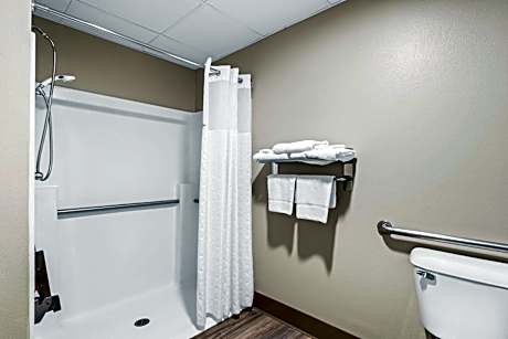 King Room with Roll-in Shower - Mobility Access/Non-Smoking