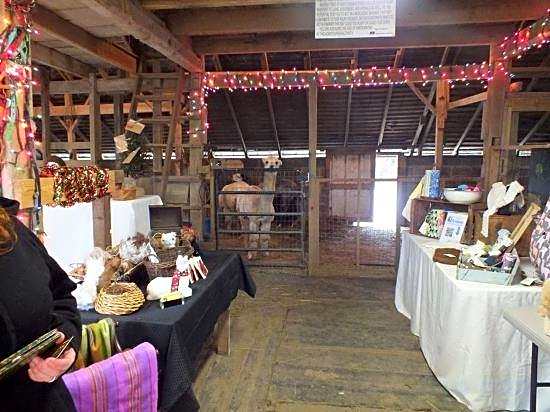 Montrose Farms Alpaca Ranch