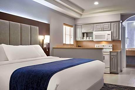 1 King Bed Efficiency Non-Smoking