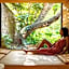 Cabosse, Boutique Palace & Spa