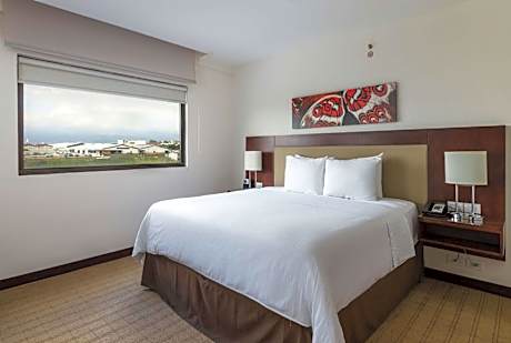 Junior Suite with King Bed - Non-Smoking