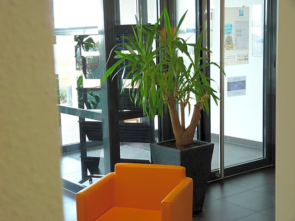 Ibis Budget Roanne Hotel